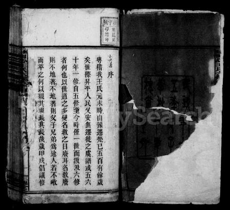 湖南王氏族谱-邵陵田心王氏六修族谱 [39卷,首末各1卷].pdf电子版插图4