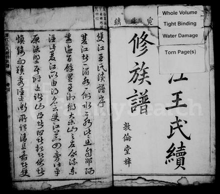 湖南王氏族谱-双江王氏续修族谱 [21卷,首1卷].pdf电子版插图3