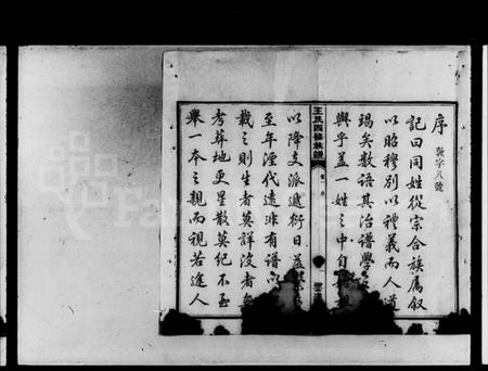 湖南王氏族谱-云湖沙湾王氏卯修族谱 [12卷].pdf电子版插图3