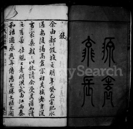 湖南王氏族谱-高仓王氏族谱 [10卷].pdf电子版插图4