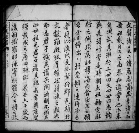 湖南王氏族谱-高仓王氏族谱 [10卷].pdf电子版插图5