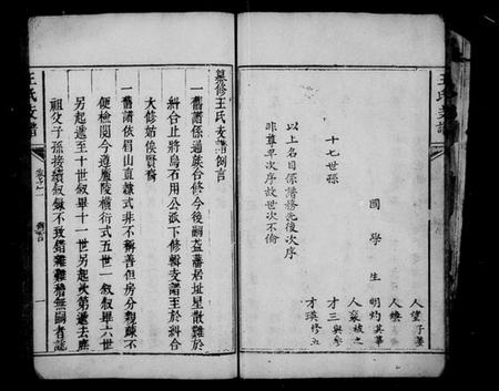 湖南王氏族谱-宁乡乌石王氏支谱 [8卷].pdf电子版插图1