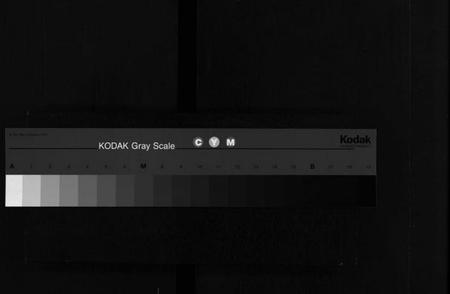 湖南王氏族谱-东湖王氏族谱 [不分卷].pdf电子版