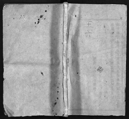 湖南王氏族谱-东湖王氏族谱 [不分卷].pdf电子版插图1