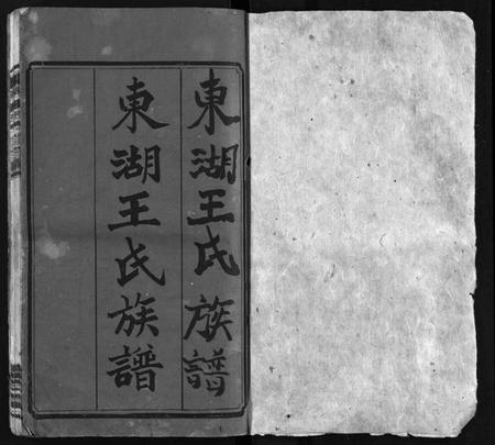 湖南王氏族谱-东湖王氏族谱 [不分卷].pdf电子版插图2