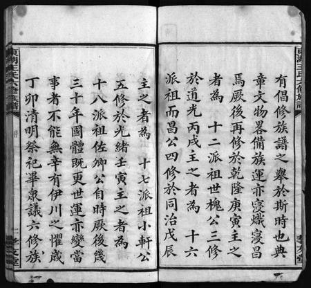 湖南王氏族谱-东湖王氏族谱 [不分卷].pdf电子版插图4