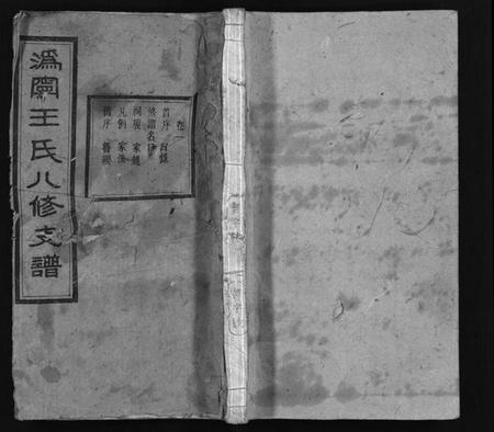 湖南王氏族谱-沩宁王氏八修支谱 [10卷].pdf电子版插图1