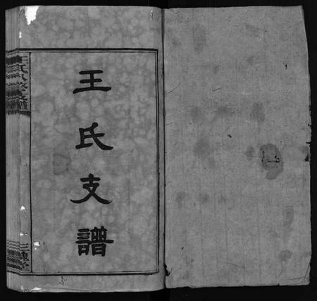 湖南王氏族谱-沩宁王氏八修支谱 [10卷].pdf电子版插图2