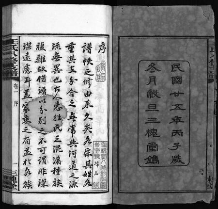 湖南王氏族谱-沩宁王氏八修支谱 [10卷].pdf电子版插图3