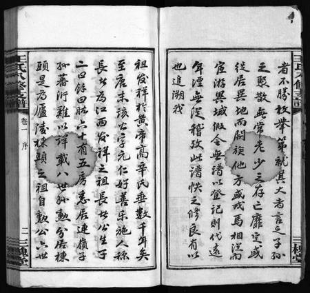 湖南王氏族谱-沩宁王氏八修支谱 [10卷].pdf电子版插图4