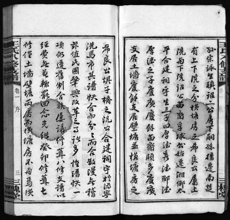 湖南王氏族谱-沩宁王氏八修支谱 [10卷].pdf电子版插图5