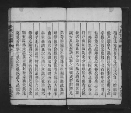 湖南王氏族谱-王氏族谱 [14卷].pdf电子版插图4