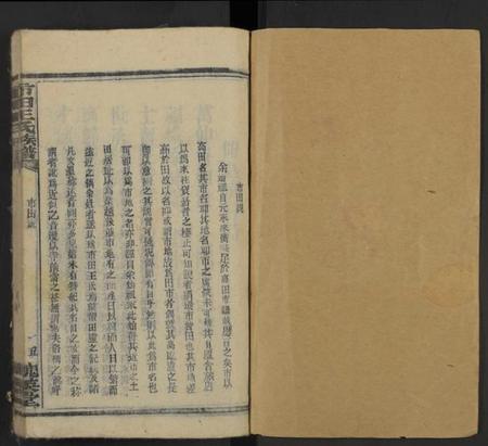 湖南王氏族谱-市田王氏八修族谱 [总卷数不详].pdf电子版插图1