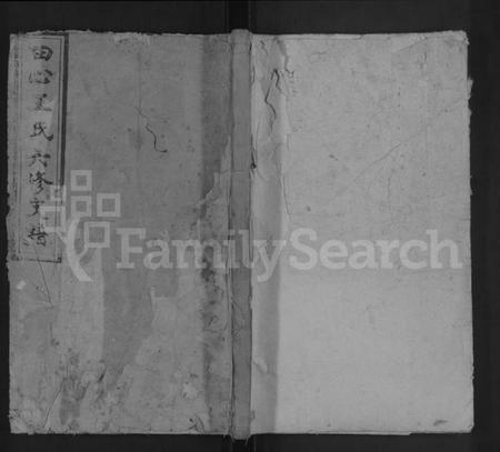 湖南王氏族谱-田心王氏六修支谱.pdf电子版