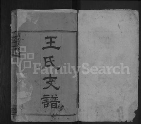 湖南王氏族谱-田心王氏六修支谱.pdf电子版插图1