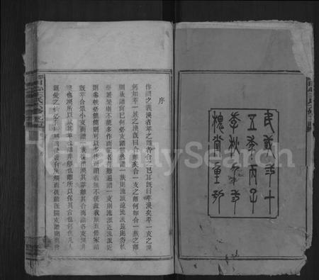 湖南王氏族谱-田心王氏六修支谱.pdf电子版插图2