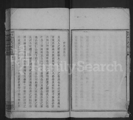 湖南王氏族谱-田心王氏六修支谱.pdf电子版插图5