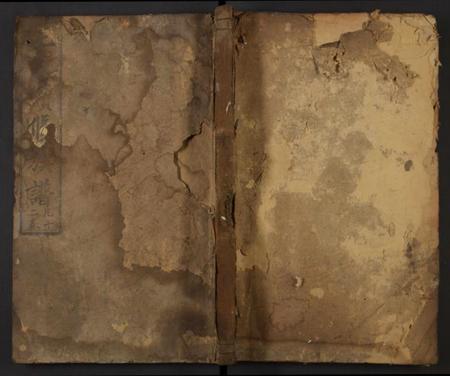 湖南王氏族谱-邵陵王氏续修族谱 [残卷].pdf电子版