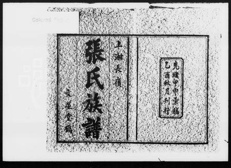 湖南张氏王氏族谱-上湘长岭张氏族谱 [14卷,首1卷].pdf电子版插图2