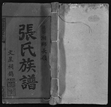 湖南张氏王氏族谱-湘乡长岭张氏族谱 [12卷].pdf电子版插图1