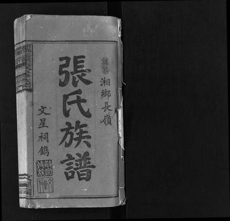 湖南张氏王氏族谱-湘乡长岭张氏族谱 [12卷].pdf电子版插图2