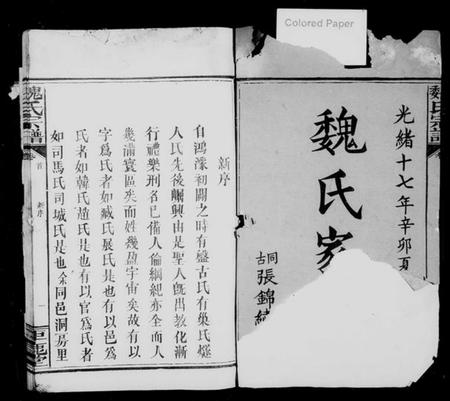 湖南魏氏族谱-魏氏宗谱 [12卷,首2卷].pdf电子版插图2