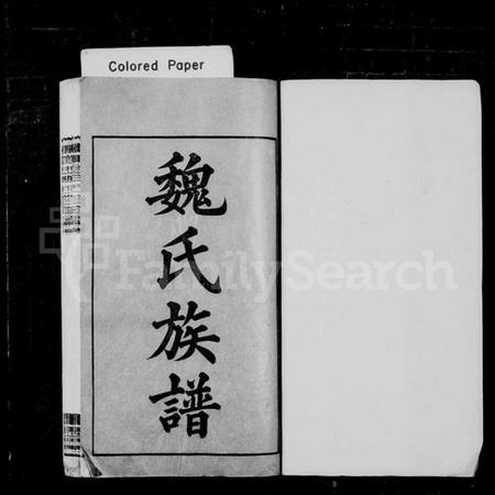 湖南魏氏族谱-魏氏族谱 [12卷].pdf电子版插图2