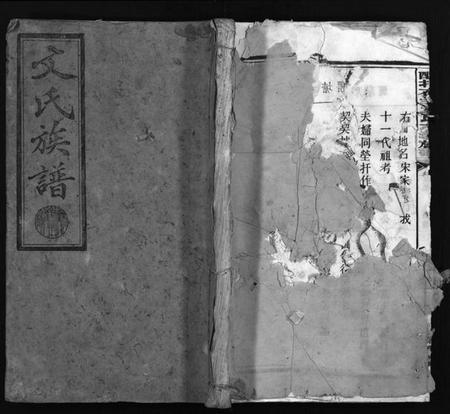 湖南文氏族谱-文氏族谱 [41卷,首2卷].pdf电子版插图1