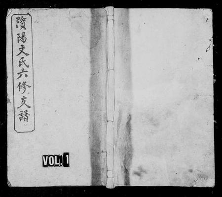 湖南文氏族谱-资阳文氏六修支谱 [8卷,首末各1卷].pdf电子版插图1