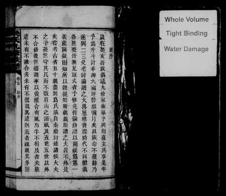 湖南吴氏族谱-吴氏九修族谱 [20卷,含卷首].pdf电子版插图3