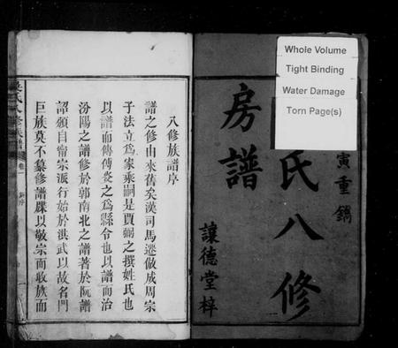 湖南吴氏族谱-吴氏八修族谱 [9卷].pdf电子版插图3