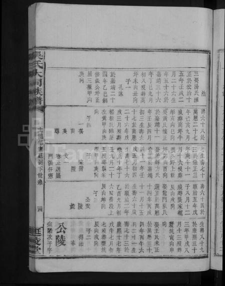 湖南吴氏族谱-吴氏大同族谱 [不分卷].pdf电子版插图5