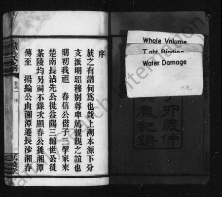 湖南吴氏族谱-吴氏支谱 [4卷,首2卷].pdf电子版插图3