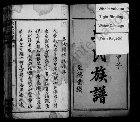 湖南吴氏族谱-吴氏族谱 [10卷].pdf电子版插图3