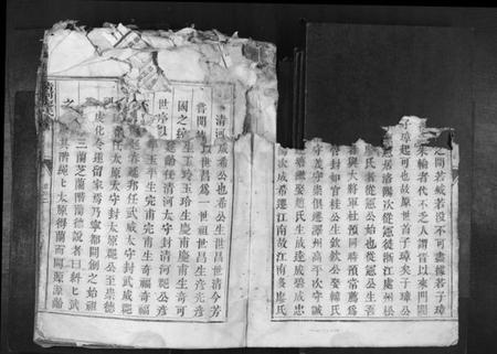 江西廖氏族谱-清河廖氏族谱[1册].pdf电子版插图2