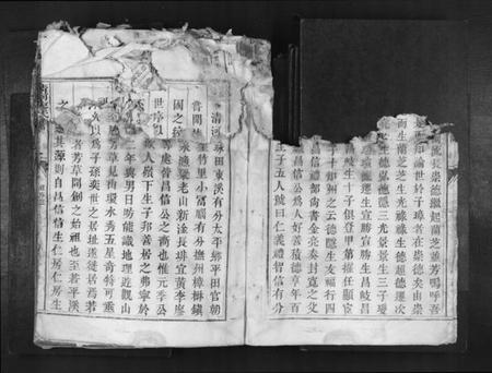 江西廖氏族谱-清河廖氏族谱[1册].pdf电子版插图3