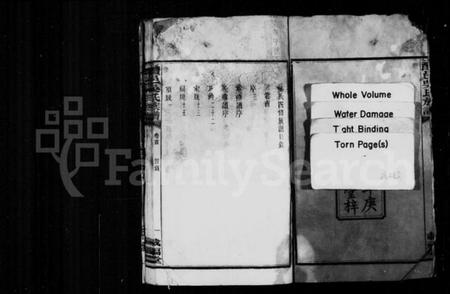 湖南吴氏族谱-吴氏族谱 [18卷,及卷首末].pdf电子版插图4