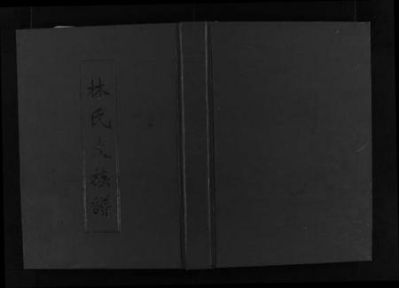 广东、福建林氏族谱-林氏大族谱 [不分卷].pdf电子版