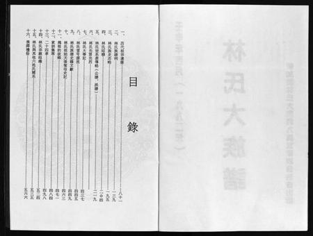 广东、福建林氏族谱-林氏大族谱 [不分卷].pdf电子版插图2