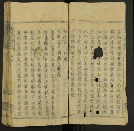 湖南吴氏族谱-桂东龙溪吴氏四修族谱 [4卷].pdf电子版插图4