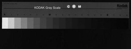 湖南吴氏族谱-吴氏族谱 [卷数不详].pdf电子版