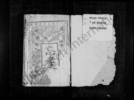 广东、福建林氏族谱-林氏重修族谱 [卷数未列].pdf电子版插图1