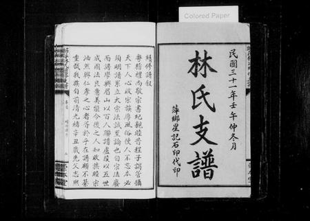 江西林氏族谱-昭萍林氏续修支谱 [10卷含卷首,末1卷].pdf电子版插图2