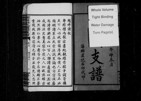 江西林氏族谱-昭萍林氏续修支谱 [10卷含卷首,末1卷].pdf电子版插图3