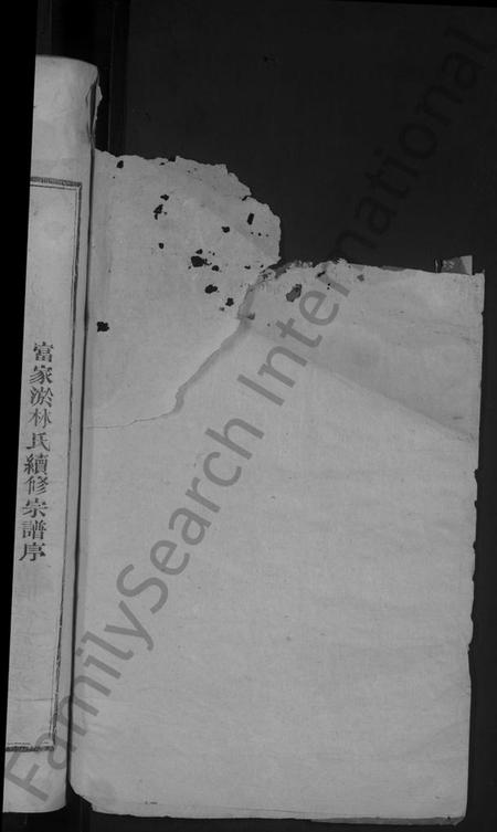 江西林氏族谱-林氏宗谱 [2卷].pdf电子版插图2