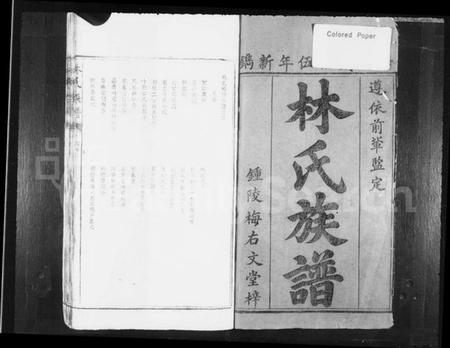 江西林氏族谱-林氏族谱.pdf电子版插图2