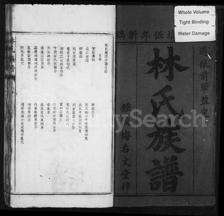 江西林氏族谱-林氏族谱.pdf电子版插图3