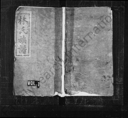 江西林氏族谱-林氏族谱 [残卷].pdf电子版插图1