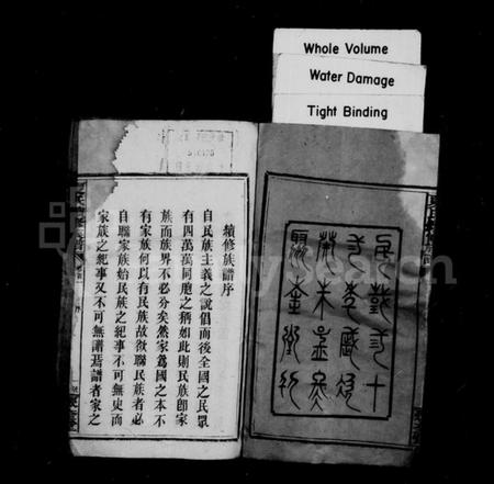 湖南夏氏族谱-夏氏续修族谱 [10卷,首1卷].pdf电子版插图4