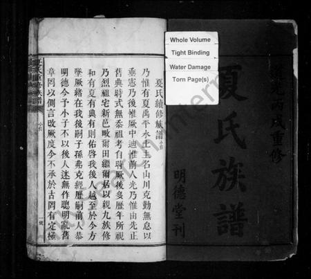 湖南夏氏族谱-夏氏重修族谱.pdf电子版插图2